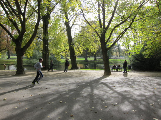Figure 2. Park in
Amsterdam (Vondelpark).